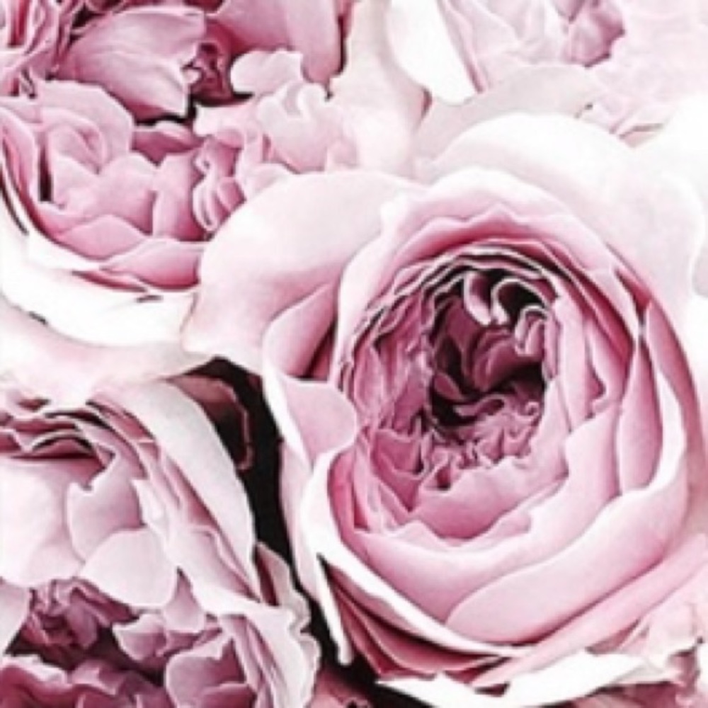 Meet your Posher, Dani